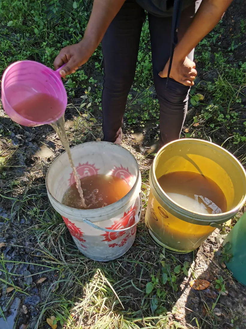 Water being collected into household containers at a rural source